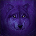Wolfy